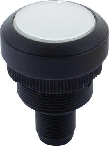 R-Button 22 1NO L M12(4)
