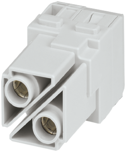 Female module, 2-pole, axial screw t.