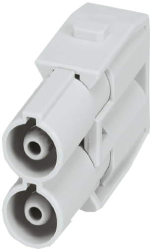 Male module, 2-pole, axial screw t.